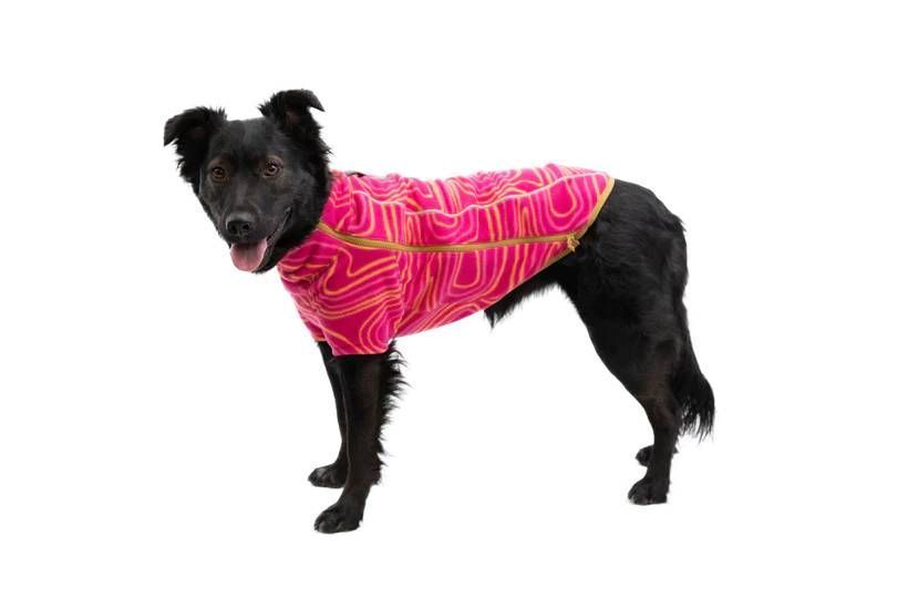 Флисовая куртка для собак Ruffwear Climate Changer&trade; XS Малиновый 30378 фото
