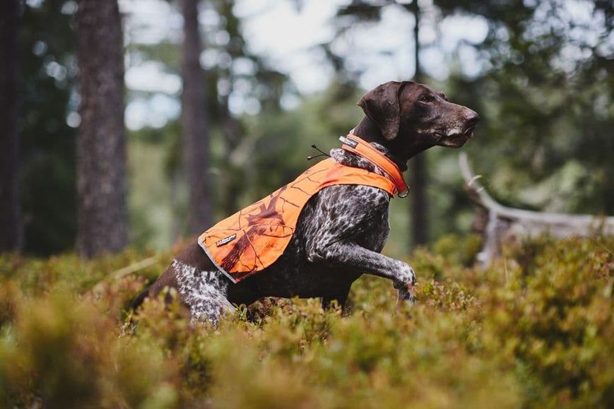 Камуфляжна накидка для собак Camo cover Non-stop dogwear Помаранчевий/XL 40811 фото