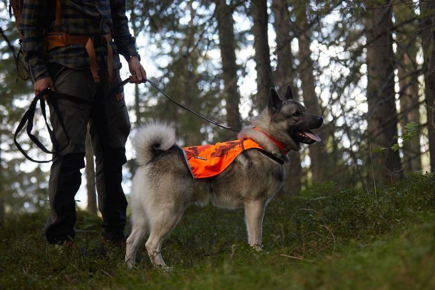 Камуфляжна накидка для собак Camo cover Non-stop dogwear Помаранчевий/XL 40811 фото