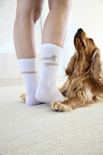 Носки для владельцев собак Palopa Tennis Socks Long Badger Dog 35-40 45551 фото