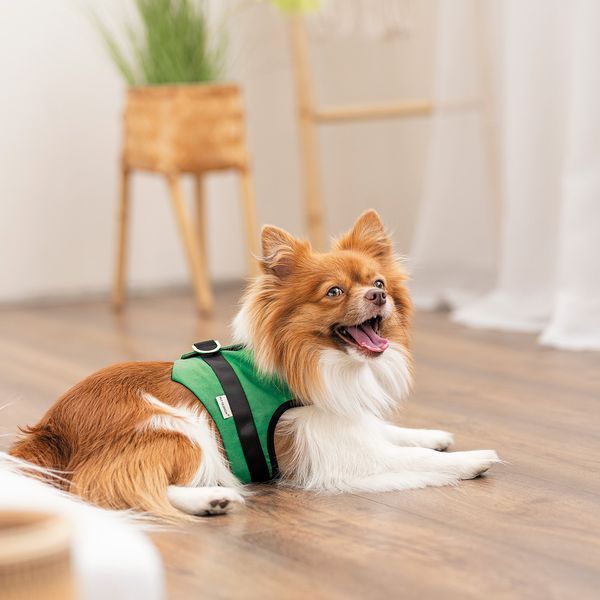 Шлея Ross ТМ Pet Fashion для собак ХXS 1111197873 фото