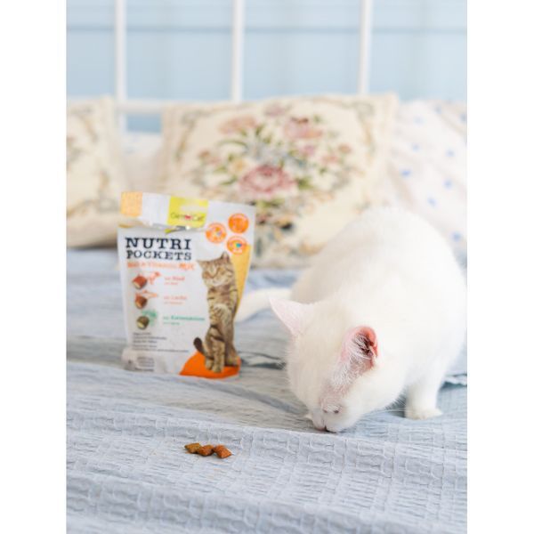 Вітамінні ласощі GimCat Nutri Pockets для котів для зміцнення імунітету мультивітамін мікс 150 г 1111138659 фото