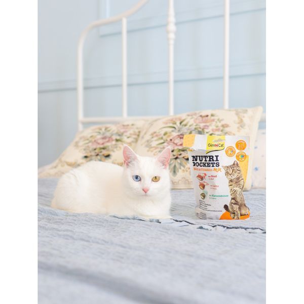Вітамінні ласощі GimCat Nutri Pockets для котів для зміцнення імунітету мультивітамін мікс 150 г 1111138659 фото