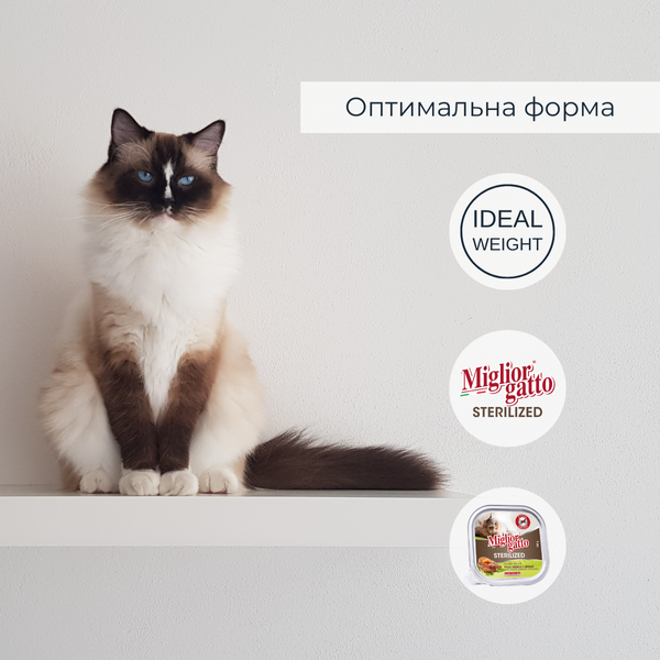 Беззернові консерви для стерилізованих котів Morando Migliorgatto Sterilized з куркою ягням та овочами 100 g 01452 фото