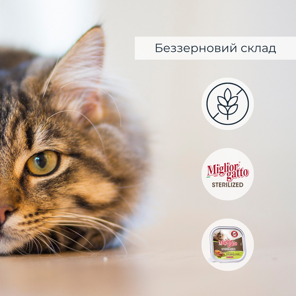 Беззернові консерви для стерилізованих котів Morando Migliorgatto Sterilized з куркою ягням та овочами 100 g 01452 фото