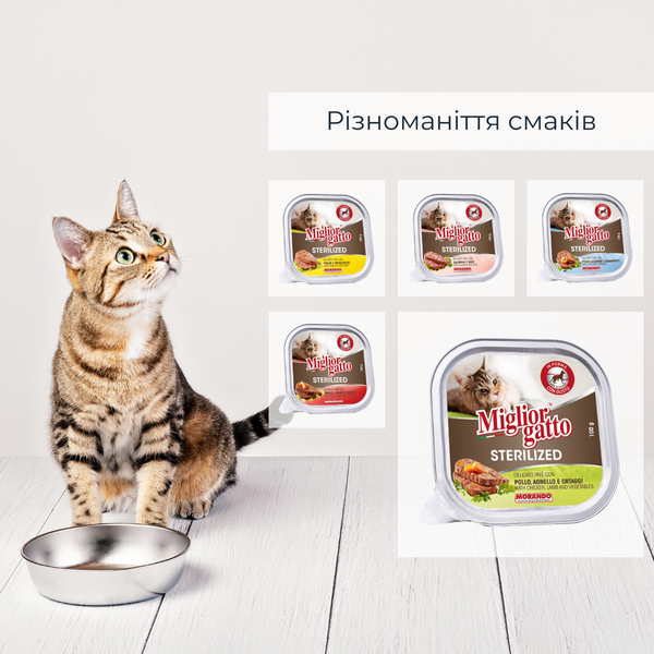 Беззернові консерви для стерилізованих котів Morando Migliorgatto Sterilized з куркою ягням та овочами 100 g 01452 фото