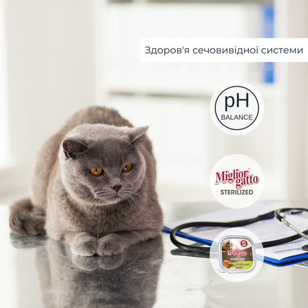 Беззернові консерви для стерилізованих котів Morando Migliorgatto Sterilized з куркою ягням та овочами 100 g 01452 фото