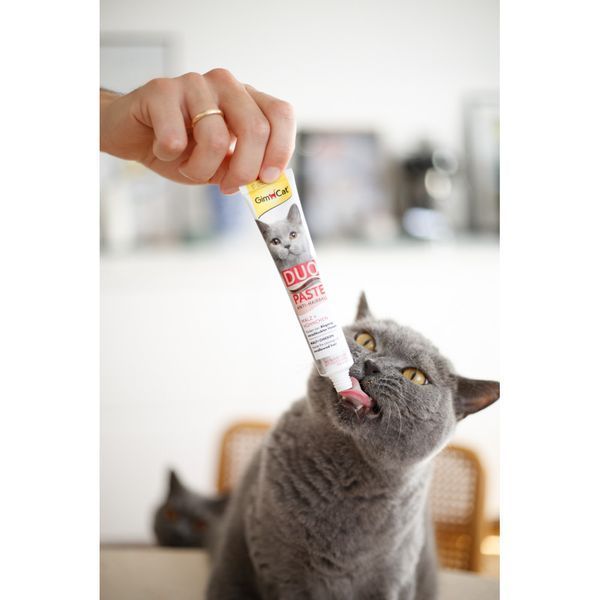 Паста GimCat DUO PASTE Anti-hairboll malt with chicken для котів з чутливим травленням усіх порід мальт та курка 50г 1111183697 фото