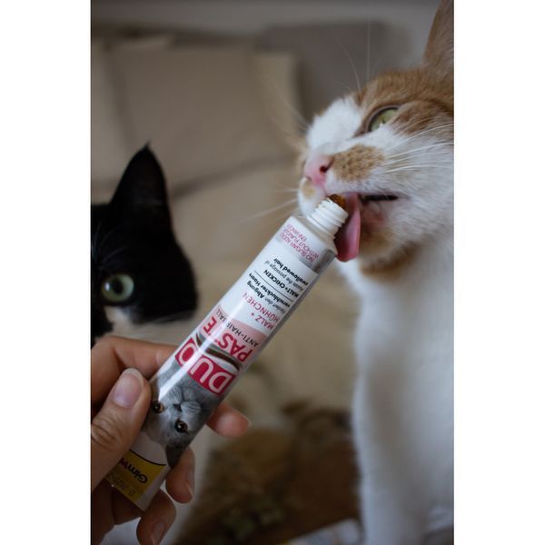 Паста GimCat DUO PASTE Anti-hairboll malt with chicken для котів з чутливим травленням усіх порід мальт та курка 50г 1111183697 фото