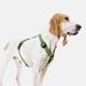 Повседневная шлейка для собак Cloud7 Rescue Basic Harness Зеленый XS 46111 фото 4