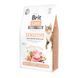 Корм сухий Brit Care Cat Grain Free Sensitive HDigestion Delicate Taste для котів з чутливим травленням індичка та лосось 2 1111162352 фото 1