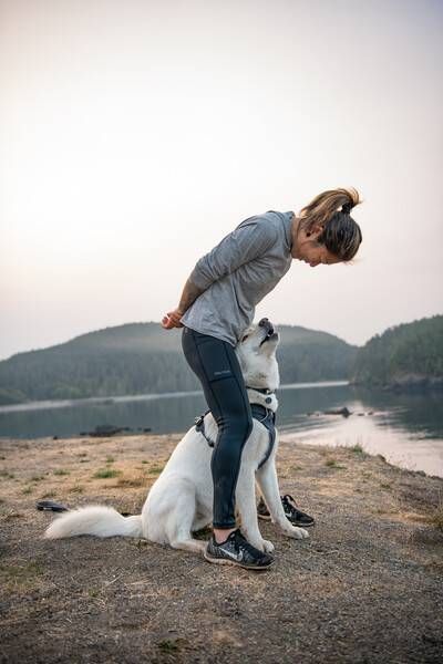 Повсякденна шлейка для собак Ruffwear Front Range&reg; XXS 33-43 см Сірий 30771 фото