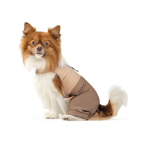 Шлея-костюм Darcy ТМ Pet Fashion для собак М 1111197875 фото