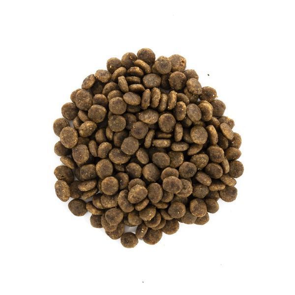 Корм сухий Brit Care Cat Grain Free Sensitive HDigestion Delicate Taste для котів з чутливим травленням індичка та лосось 40 1111162353 фото