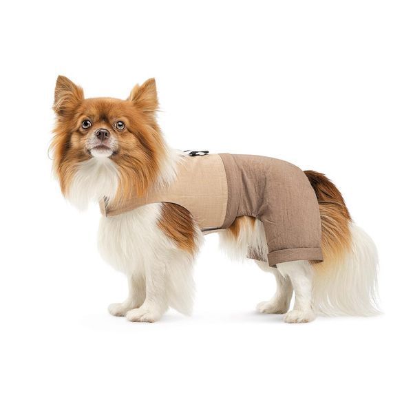 Шлея-костюм Darcy ТМ Pet Fashion для собак М 1111197875 фото