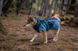 Тепла зимова куртка для собак Glacier jacket 3.0 Non-stop dogwear Бірюзовий 50 41310 фото 2