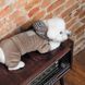 Костюм SOFT M 1111174680 фото 6