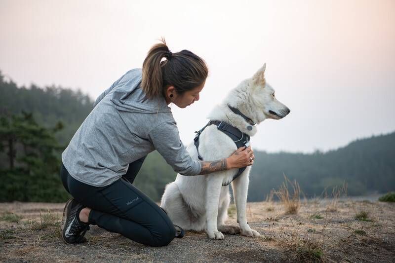 Повсякденна шлейка для собак Ruffwear Front Range&reg; XXS 33-43 см Сірий 30771 фото
