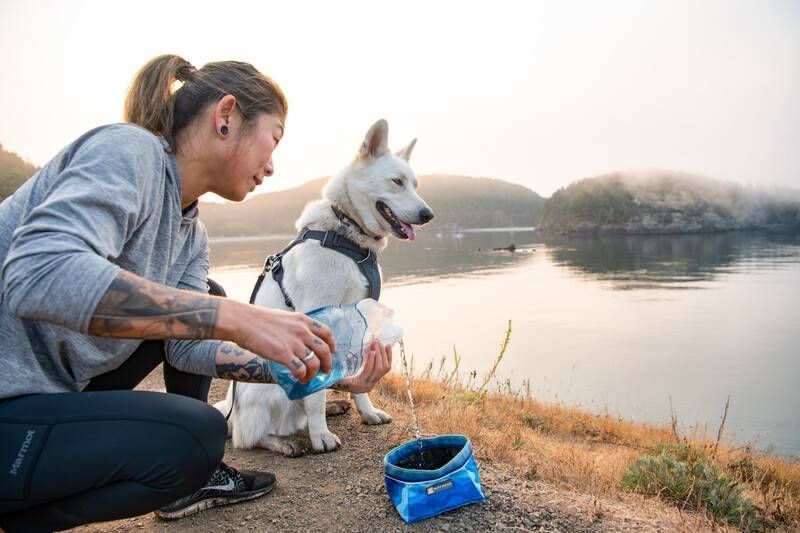 Повсякденна шлейка для собак Ruffwear Front Range&reg; XXS 33-43 см Сірий 30771 фото
