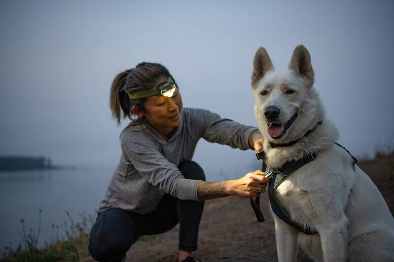 Повсякденна шлейка для собак Ruffwear Front Range&reg; XXS 33-43 см Сірий 30771 фото