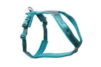 Шлейка для собак Line harness 5.0 Non-stop dogwear Бірюзовий 4 40635 фото