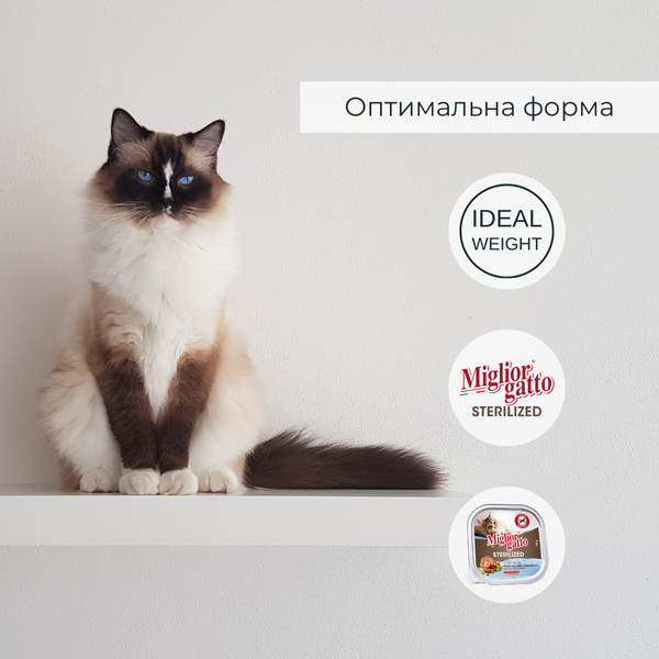 Беззернові консерви для стерилізованих котів Morando Migliorgatto Sterilized з блакитною рибою та креветками 100 g 01455 фото