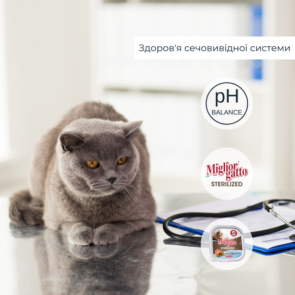 Беззернові консерви для стерилізованих котів Morando Migliorgatto Sterilized з блакитною рибою та креветками 100 g 01455 фото