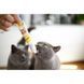 Паста GimCat DUO PASTE Multi-vitamin 12 vitamins with cheese для котів усіх порід 12 вітамінів та сир 50г 1111183699 фото 4