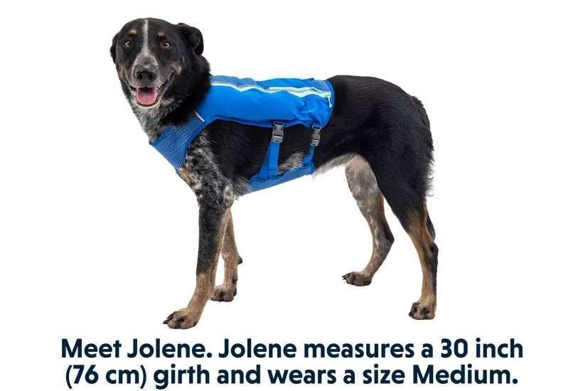 Жилет-шлея для бега Ruffwear Trail Runner&trade; XS Синий 30988 фото