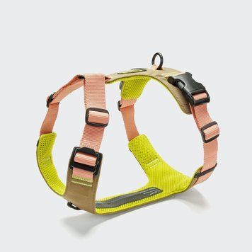 Y-подібна шлейка для собак Cloud7 Y-2 Harness AKTIV Персиковий XXS 46264 фото