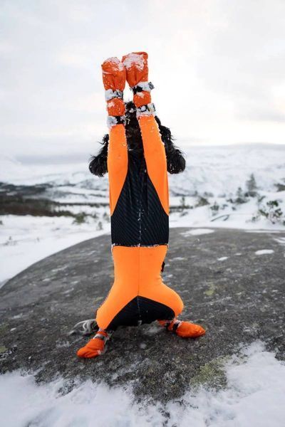 Високі черевики для собак Contact bootie high Non-stop dogwear Помаранчевий XL 4 Шт. 40350 фото