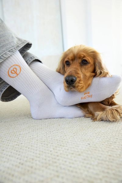 Носки для владельцев собак Palopa Tennis Socks Logo Оранжевый/Голубой/Серый 3 пары 35-40 45555 фото
