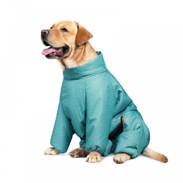 Комбінезон Pet Fashion Cold для собак бірюза S 1111167312 фото