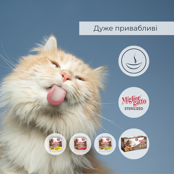 Набір консервів для котів Morando Migliorgatto Sterilized курка прошутто 2 шт + курка ягня 2 шт + яловичина 2 шт (6 шт*100 g) 01457 фото