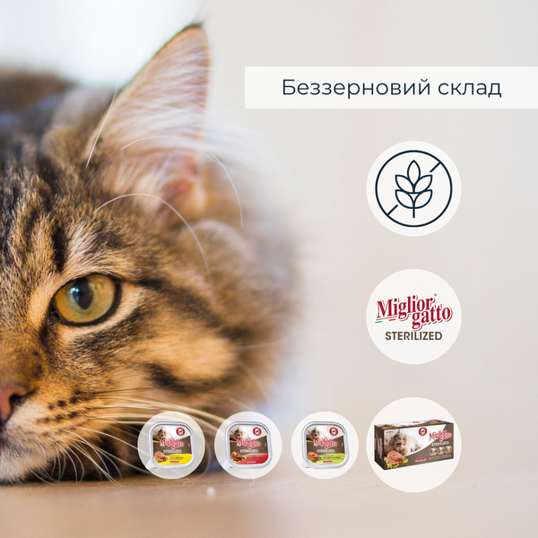 Набір консервів для котів Morando Migliorgatto Sterilized курка прошутто 2 шт + курка ягня 2 шт + яловичина 2 шт (6 шт*100 g) 01457 фото