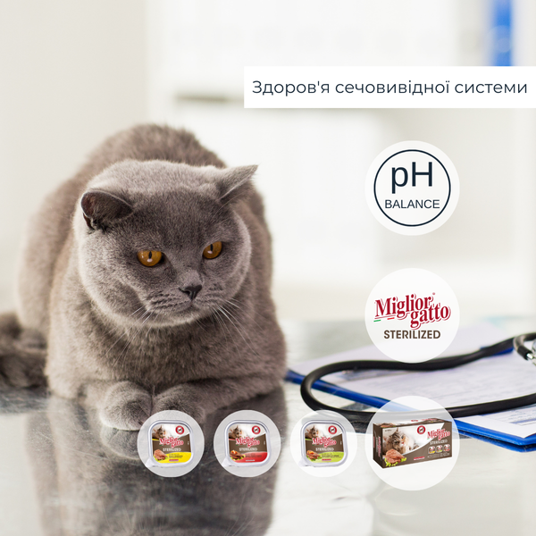 Набір консервів для котів Morando Migliorgatto Sterilized курка прошутто 2 шт + курка ягня 2 шт + яловичина 2 шт (6 шт*100 g) 01457 фото