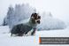 Вовняна куртка для собак Glacier wool jacket 2.0 Non-stop dogwear Зелений/Сірий 70 41027 фото 3
