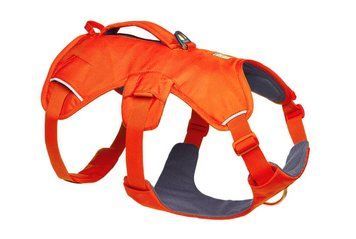 Підтримуюча шлейка для службових собак Ruffwear Web Master&trade; S 56-69 см Яскраво-Помаранчевий 41889 фото