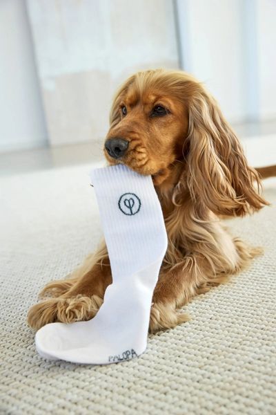 Шкарпетки для власників собак Palopa Tennis Socks Logo Помаранчевий/Блакитний/Сірий 3 пари 40-45 45556 фото