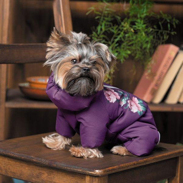 Костюм Pet Fashion LOLA для собак бузковий S 1111175223 фото
