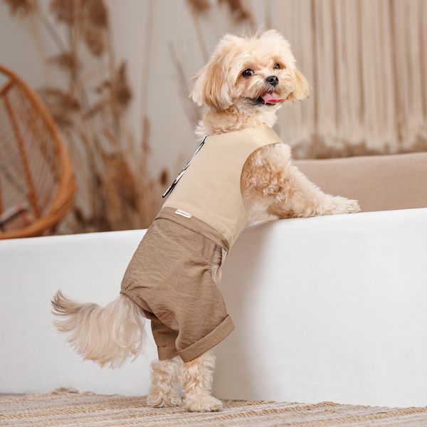 Шлея-костюм Darcy ТМ Pet Fashion для собак ХXS 1111197878 фото