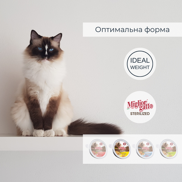 Беззернові консерви для стерилізованих котів Morando Migliorgatto Sterilized мус з куркою та прошутто 85 g 01460 фото