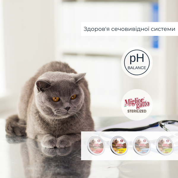 Беззернові консерви для стерилізованих котів Morando Migliorgatto Sterilized мус з куркою та прошутто 85 g 01460 фото