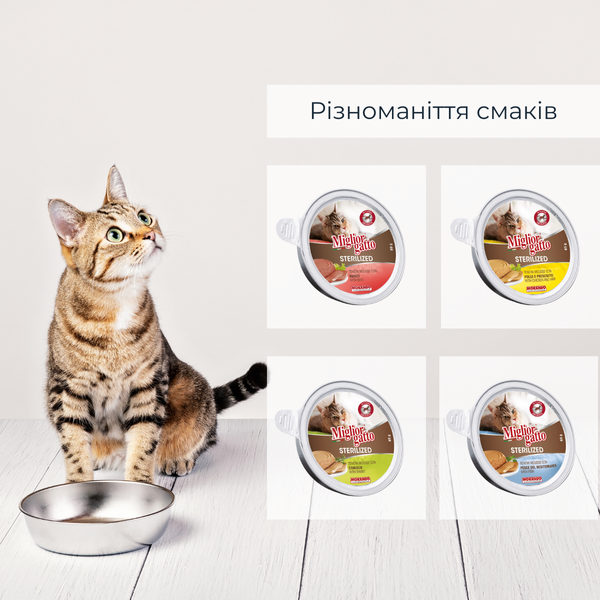 Беззернові консерви для стерилізованих котів Morando Migliorgatto Sterilized мус з куркою та прошутто 85 g 01460 фото
