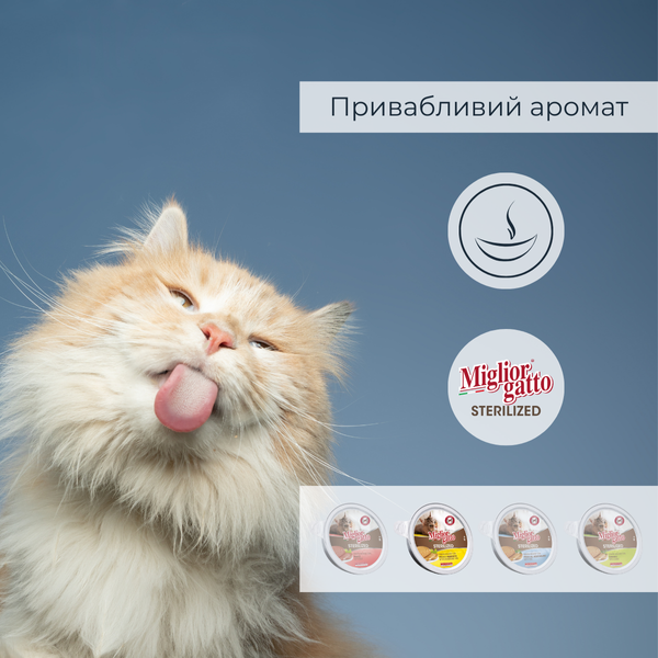 Беззернові консерви для стерилізованих котів Morando Migliorgatto Sterilized мус з куркою та прошутто 85 g 01460 фото