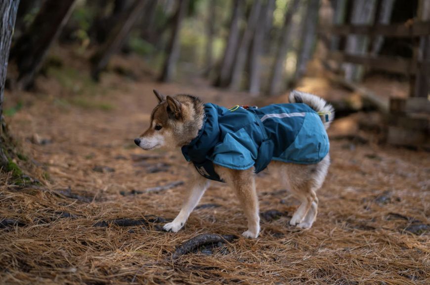 Теплая зимняя куртка для собак Glacier jacket 3.0 Non-stop dogwear Бирюзовый 65 41313 фото