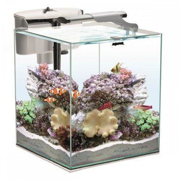 Акваріум Aquael NANO REEF DUO 35 білий 1111149268 фото