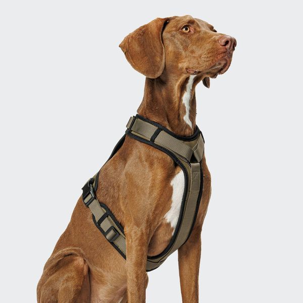 Y-подібна шлейка для собак Cloud7 Y-3 Harness AKTIV Оливковий L 46266 фото