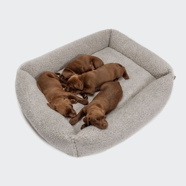 Лежанка для собак Cloud7 Sleepy Deluxe Бежевый M 45816 фото