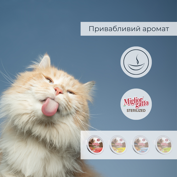 Беззернові консерви для стерилізованих котів Morando Migliorgatto Sterilized мус з телятиною 85 g 01461 фото